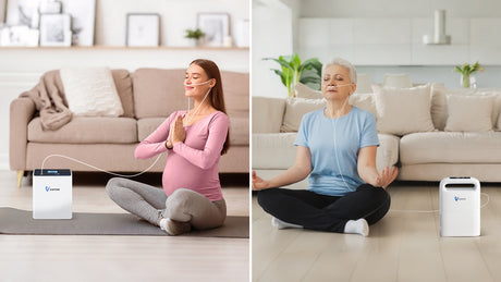 VP-2 vs VP-6: Vilken är rätt för dig?